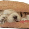 pesburger_jpg_tn.jpg